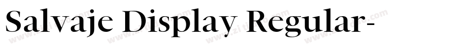 Salvaje Display Regular字体转换